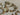 670dca8034be6e479edf2839_img-3412-medium_1775422952623.jpeg