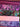 670dca8034be6e479edf2839_img-3492_1793053137441.jpeg
