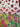 670dca8034be6e479edf2839_img-3510_1793127834287.jpeg