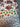 670dca8034be6e479edf2839_img-3513_1793127834288.jpeg