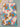 670dca8034be6e479edf2839_img-3747_1787196872121.jpeg