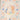 670dca8034be6e479edf2839_img-3748_1787197358526.jpeg
