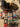 670dca8034be6e479edf2839_img-3978_1788518528654.jpeg