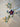 670dca8034be6e479edf2839_img-4268_1778430729881.jpeg