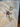 670dca8034be6e479edf2839_img-4270_1778430729881.jpeg