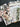 670dca8034be6e479edf2839_img-4293_1783813642839.jpeg