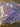 670dca8034be6e479edf2839_img-4350_1778693997566.jpeg