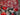 670dca8034be6e479edf2839_img-4372_1760541486960.jpeg