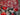 670dca8034be6e479edf2839_img-4372_1760541486960.jpeg