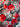 670dca8034be6e479edf2839_img-4373_1760541486961.jpeg