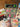 670dca8034be6e479edf2839_img-4817_1779201579100.jpeg