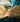 670dca8034be6e479edf2839_img-4930_1774683063691.jpeg