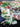 670dca8034be6e479edf2839_img-5282_1779576000462.jpeg
