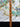 670dca8034be6e479edf2839_img-5295_1779584654164.jpeg