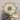 670dca8034be6e479edf2839_img-5339_1793311501653.jpeg