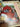 670dca8034be6e479edf2839_img-5498_1777590181871.jpeg