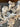 670dca8034be6e479edf2839_img-5528_1780362991877.jpeg