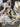 670dca8034be6e479edf2839_img-5529_1780362991877.jpeg