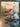 670dca8034be6e479edf2839_img-5560_1780413920689.jpeg