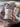 670dca8034be6e479edf2839_img-5656_1780703124723.jpeg