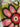 670dca8034be6e479edf2839_img-5665_1780704227885.jpeg