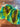 670dca8034be6e479edf2839_img-5918_1781375500881.jpeg