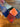 670dca8034be6e479edf2839_img-5924_1781375695206.jpeg