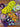 670dca8034be6e479edf2839_img-6023_1781388406338.jpeg