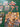 670dca8034be6e479edf2839_img-6043_1776469992204.jpeg