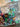 670dca8034be6e479edf2839_img-6066_1781390762859.jpeg