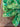670dca8034be6e479edf2839_img-6080_1781391349497.jpeg