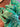 670dca8034be6e479edf2839_img-6081_1781391349497.jpeg