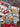 670dca8034be6e479edf2839_img-6194_1781733065379.jpeg
