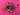 670dca8034be6e479edf2839_img-6243_1769025314888.jpeg