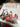 670dca8034be6e479edf2839_img-6283_1780522657208.jpeg