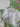 670dca8034be6e479edf2839_img-6539_1750267778987.jpeg
