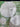670dca8034be6e479edf2839_img-6541_1750267778988.jpeg