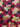 670dca8034be6e479edf2839_img-6547_1754495135381.jpeg