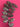 670dca8034be6e479edf2839_img-6547_1771355613939.jpeg