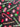 670dca8034be6e479edf2839_img-6548_1754495258552.jpeg