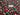 670dca8034be6e479edf2839_img-6549_1754495258553.jpeg