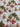 670dca8034be6e479edf2839_img-6552_1754495374368.jpeg