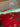 670dca8034be6e479edf2839_img-6554_1781981409400.jpeg