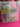 670dca8034be6e479edf2839_img-6580_1771360509560.jpeg