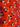 670dca8034be6e479edf2839_img-6624_1754834584020.jpeg