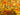 670dca8034be6e479edf2839_img-6637_1754835137286.jpeg