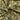 670dca8034be6e479edf2839_img-6709_1748952859852.jpg