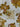 670dca8034be6e479edf2839_img-6756_1760839822552.jpeg