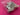 670dca8034be6e479edf2839_img-6773_1772485381155.jpeg