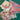670dca8034be6e479edf2839_img-6789_1783297874078.jpeg